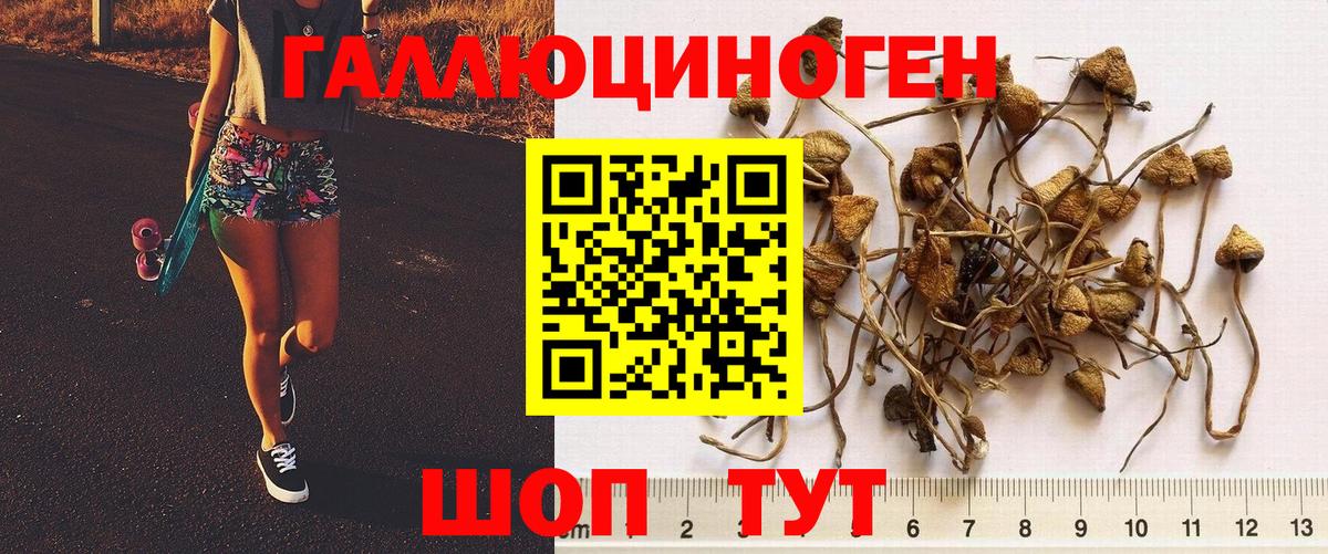 Псилоцибиновые грибы ЛСД  Вход с VPN  Кизляр  Галлюциногенные грибы мухоморы 